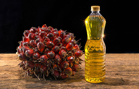 Suppliers of Palm Oil & Palm Kernel Oil